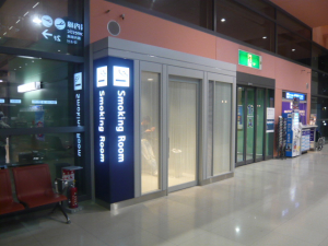 Terminal 1 Domestic Gate Area